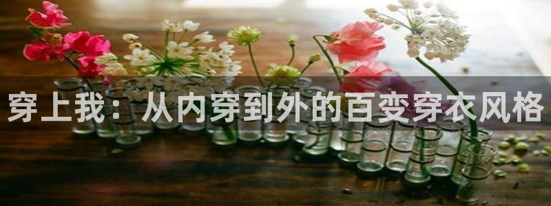 糖心volga：穿上我：从内穿到外的百变穿衣风格