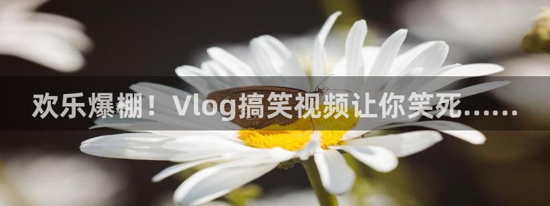 糖心vlgo拜年视频：欢乐爆棚！Vlog搞笑视频让你笑死……